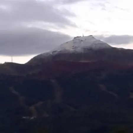 Conca D'oro